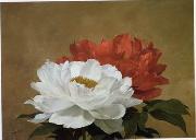 unknow artist Still life floral, all kinds of reality flowers oil painting 34 China oil painting reproduction